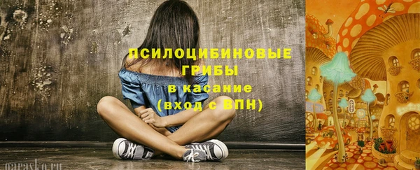 индика Алексеевка